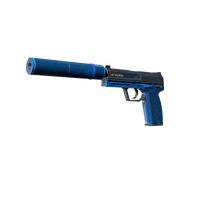 Front skin