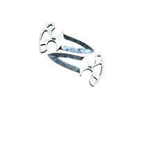 Front skin